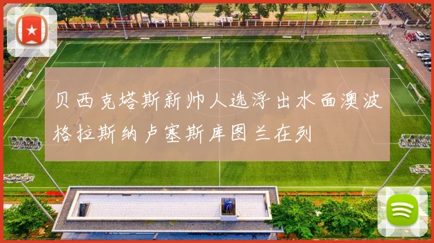 贝西克塔斯新帅人选浮出水面澳波格拉斯纳卢塞斯库图兰在列