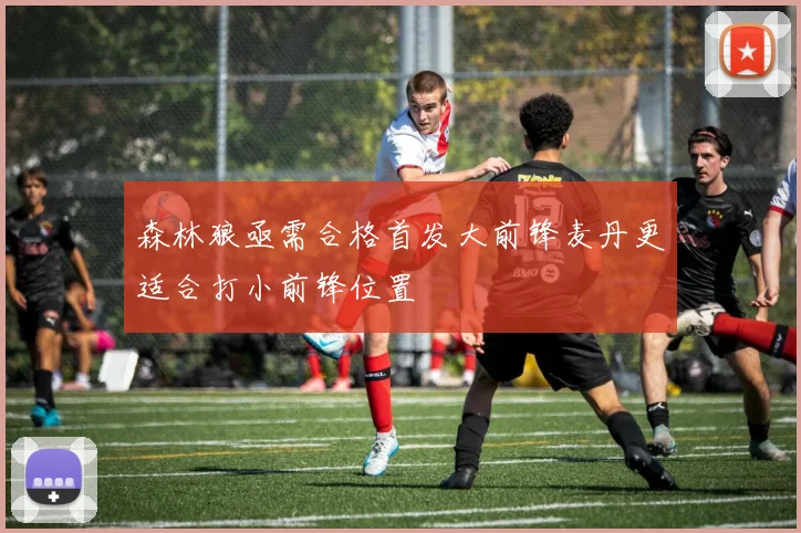 森林狼亟需合格首发大前锋麦丹更适合打小前锋位置