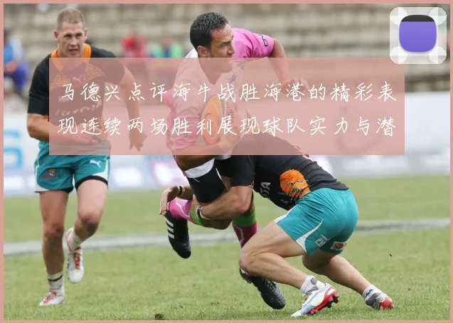 马德兴点评海牛战胜海港的精彩表现连续两场胜利展现球队实力与潜力